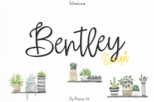 Bentley Font Review: A Web Designer's Take on This Handwritten Script Typeface