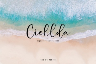 Ciellda: A Script Font That Makes Your Brand Look Polished
