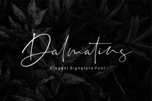 Dalmatins: The Perfect Signature Font for Campaign Visuals That Stand Out