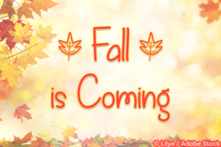 Fall is Coming: A Font That Brings Warmth to Your Brand