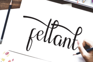 Fellant Script Font Review: A Campaign Designer’s Perspective on Relaxed Elegance
