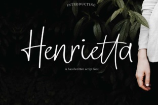 Henrietta Font: A Small Business Brand Upgrade in One Typeface