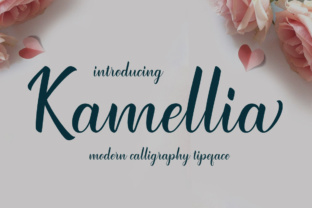 How Kamellia Gave My Blog a Fresh Editorial Voice
