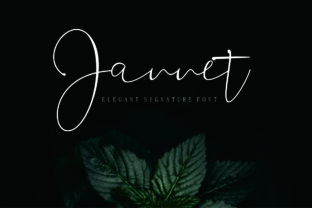 Jannet Font: Elegant Script Typeface for Small Business Branding