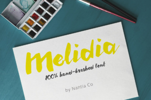 Melidia: The Bold Hand-Brushed Font for Handmade Products