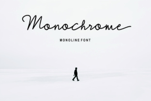 Monochrome Font: A Refined Typeface for Modern Web Design