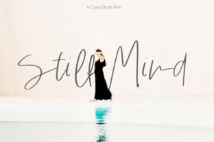 Still Mind Font Review: A Script Amp Typeface for Campaign Headlines